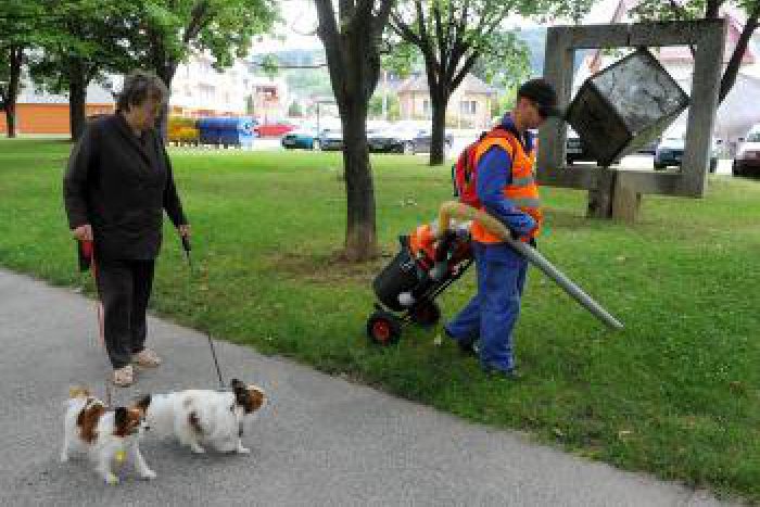 Ilustračný obrázok k článku Vajnory vytvárajú stále priaznivejšie podmienky pre majiteľov psov. Snažia sa udržať čistotu