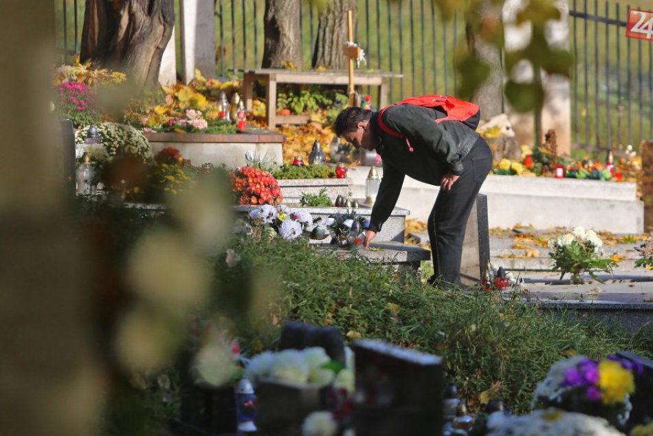 Ilustračný obrázok k článku Vrakuňa s rozšírením cintorína na úkor zlej časti lesoparku súhlasí