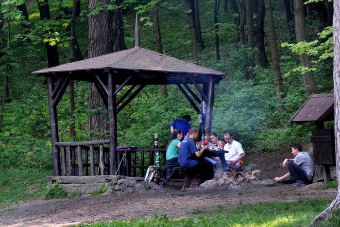 Ilustračný obrázok k článku Kam v Bratislave vyraziť na piknik?