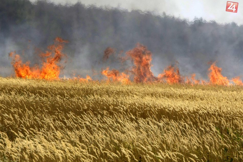 Ilustračný obrázok k článku V lesoch na území Bratislavy je vyhlásený čas zvýšeného nebezpečenstva požiarov