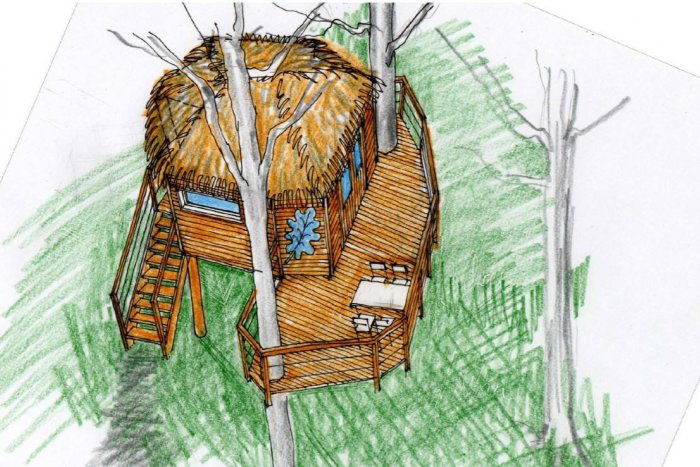 Ilustračný obrázok k článku Mestské lesy otvoria druhý domček v korunách stromov - na duboch