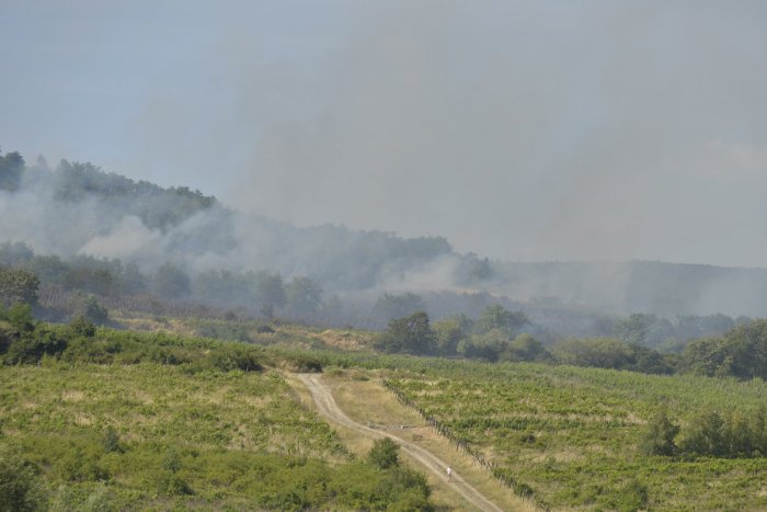 Ilustračný obrázok k článku V Rači horeli vinohrady. Požiar si vyžiadal aj evakuáciu obyvateľov