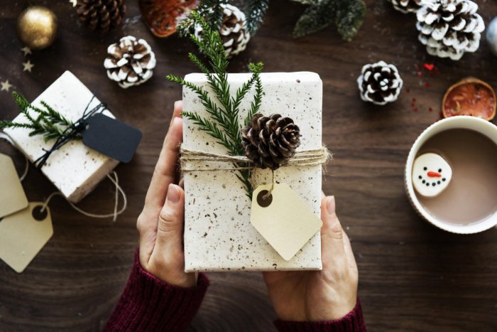 Ilustračný obrázok k článku INŠPIRUJTE SA: Praktické tipy na vianočné darčeky pre každého