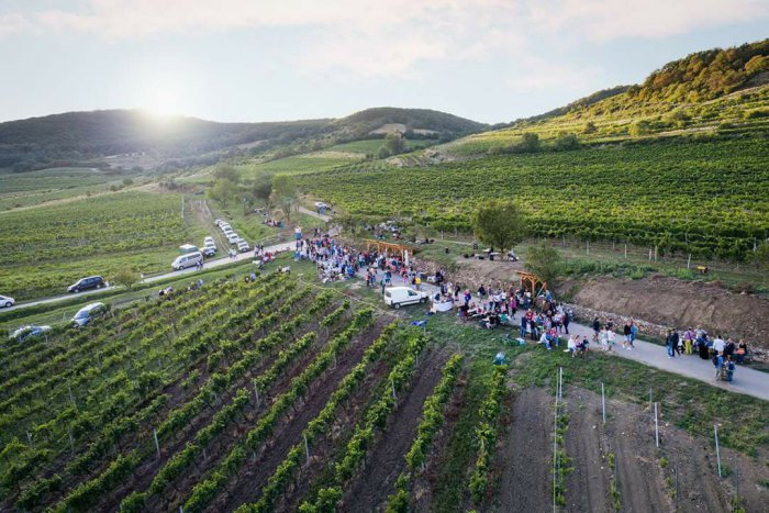 Ilustračný obrázok k článku Pezinské vínne pivnice 2018 rozšíri aj ponuka limbašských vinárov