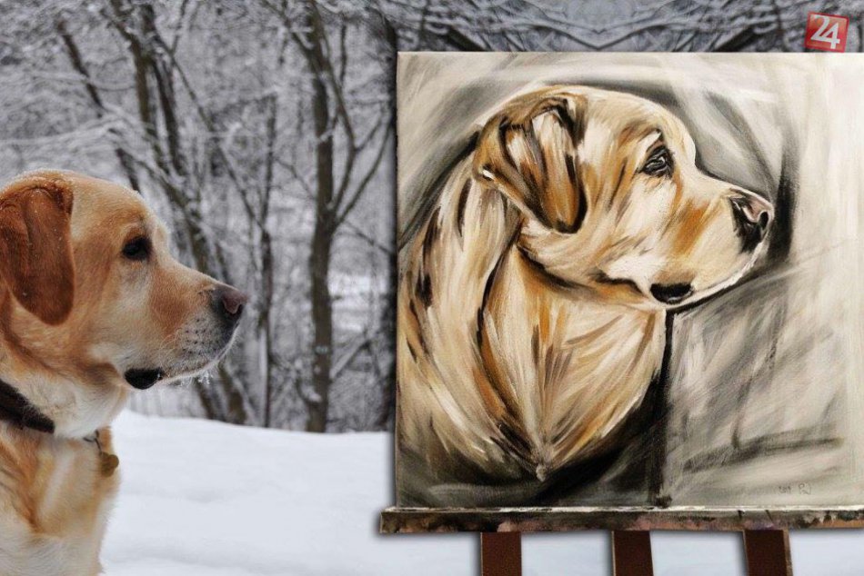 Ilustračný obrázok k článku Kúpou obrazov od talentovanej Paulíny podporíte zvieratká v útulku