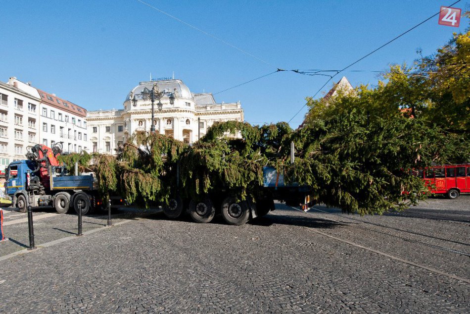Vianočné stromy v Bratislave: Aké to bolo v minulosti