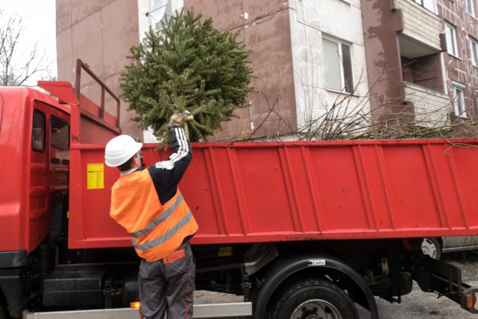 Odvoz vianočných stromčekov