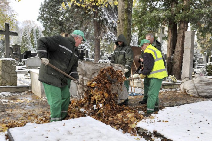 Ilustračný obrázok k článku Kalamitný stav na bratislavských cintorínoch: Enormné množstvo snehu aj popadané stromy