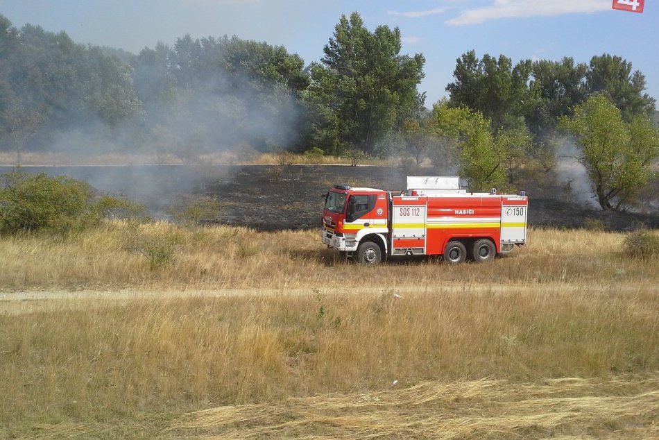 Ilustračný obrázok k článku Medzi Malackami a Studienkou horí les, zasahujú desiatky hasičov