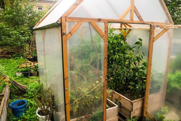 Ilustračný obrázok k článku Ak chcete mať v meste vlastný kúsok zelene, riešením je mobilná záhrada