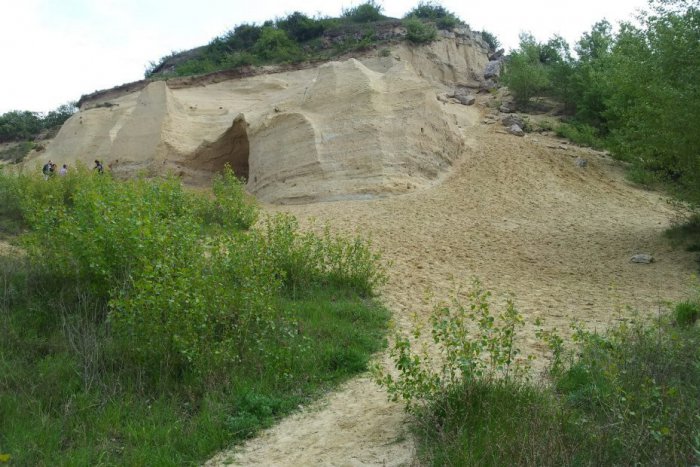 Ilustračný obrázok k článku Na území Bratislavy sa nachádza významné paleontologické nálezisko