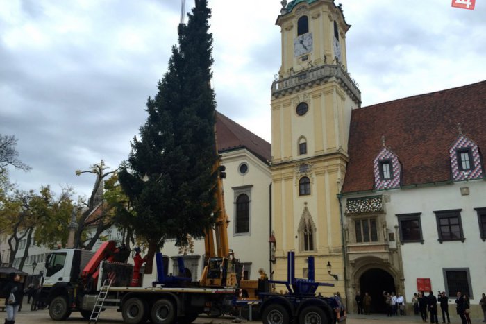Ilustračný obrázok k článku Bratislava bude mať vianočný stromček už na konci októbra