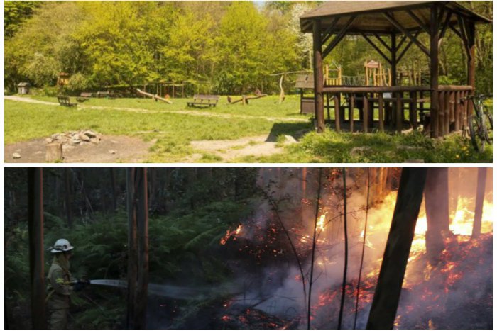 Ilustračný obrázok k článku Chystáte sa na opekačku v bratislavských lesoch? Neriskujte! Hrozí požiar aj "mastná" pokuta