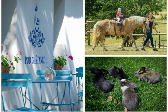 Ilustračný obrázok k článku Tip na výlet: Farma neďaleko Bratislavy ponúka oddych a zábavu pre celú rodinu