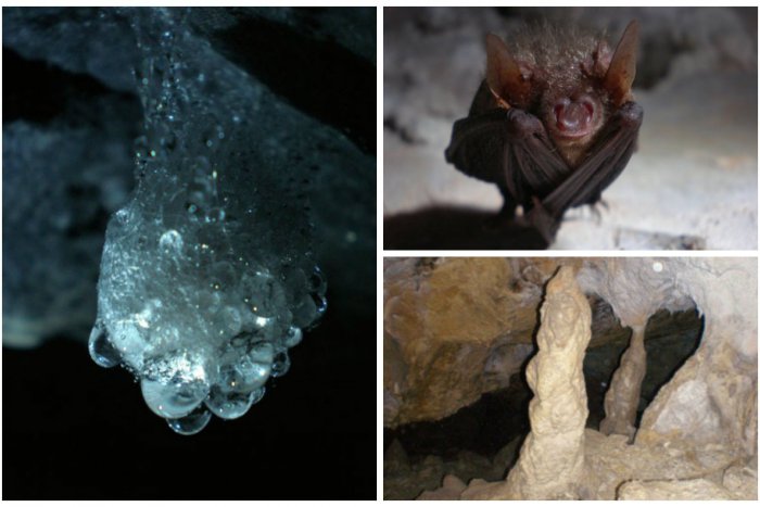 Ilustračný obrázok k článku Dobrá správa pre milovníkov prírody: Na Záhorí vznikne múzeum jaskyniarstva