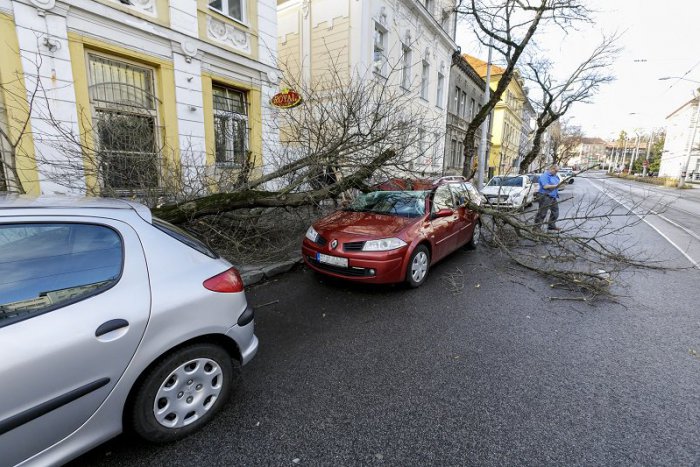 Ilustračný obrázok k článku Hasiči v Bratislavskom kraji aktuálne riešia spadnuté stromy i zatopené pivnice