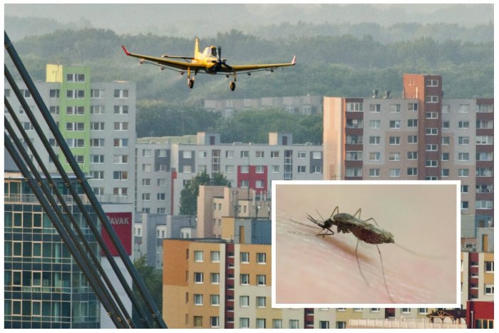 Ilustračný obrázok k článku Boj s komármi: Bratislavská župa pri ich kynožení nechce zabiť aj včely