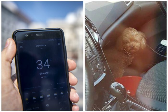 Ilustračný obrázok k článku Psičkárka nechala psa zavretého v aute v 30-stupňových horúčavách a išla nakupovať