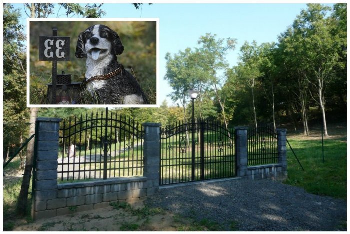 Ilustračný obrázok k článku Otvorenie cintorína pre zvieratá v Bratislave brzdí jediný vytrvalý aktivista