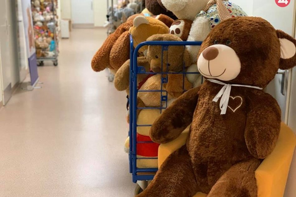 Ilustračný obrázok k článku Plyšové medvede z celého Slovenska pomôžu chorým detičkám v nemocnici
