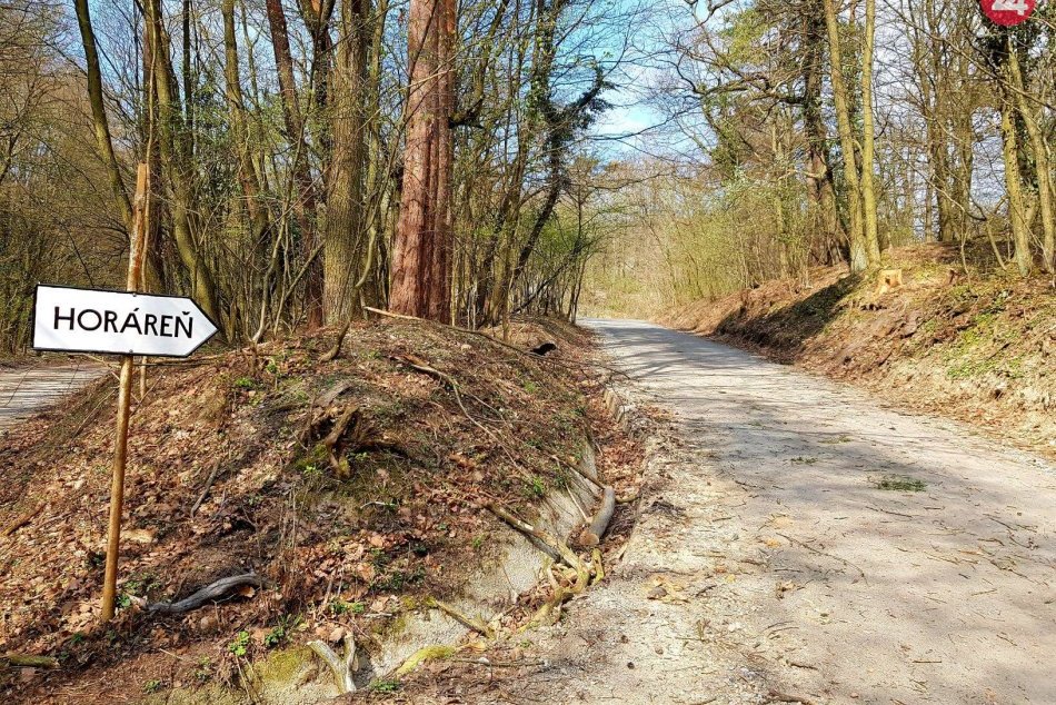 Ilustračný obrázok k článku Chodci versus cyklisti: Na ceste do lesa už nebudete musieť uskakovať z cesty