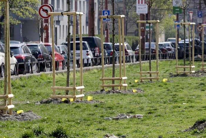 Ilustračný obrázok k článku Smutné ráno plné kolón v Bratislave: Auto ZRAZILO chodca, blokované sú viaceré časti mesta