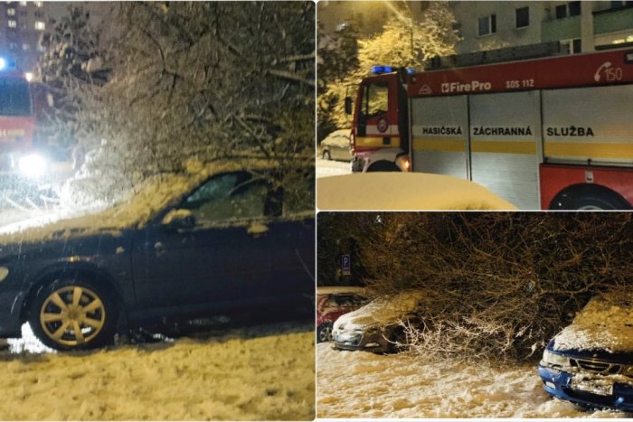 Ilustračný obrázok k článku Snehová NÁDIELKA páchala škody: Na Ševčenkovej zavalil strom autá! FOTO
