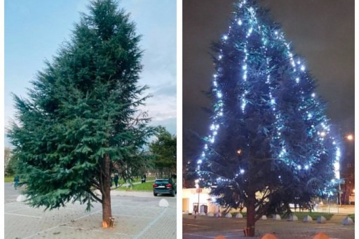 Ilustračný obrázok k článku PODIVNÝ vianočný stromček v hlavnom meste: Zožal hejty, VÝSMECH, ale aj veľký potlesk