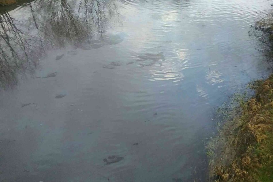 Ilustračný obrázok k článku NEBEZPEČNÁ situácia na Dunaji: Do rieky pravdepodobne vytiekli ROPNÉ látky