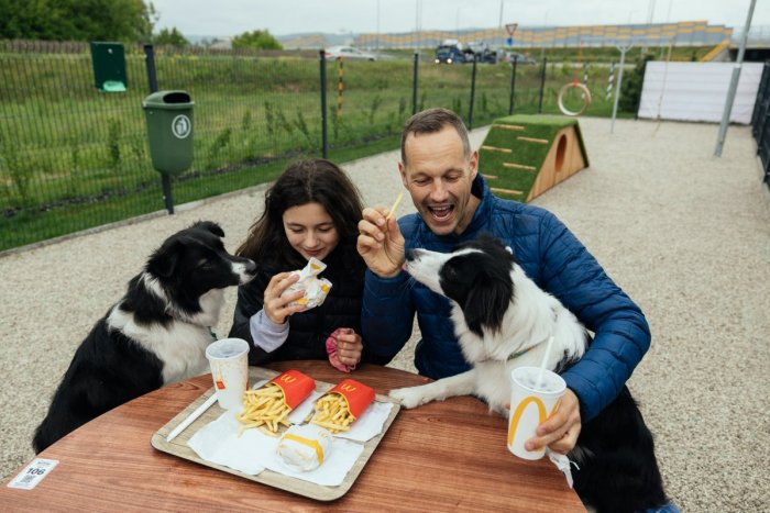 Ilustračný obrázok k článku McDonald’s Triblavina: prestávka na ceste, ktorú by si vybral váš pes