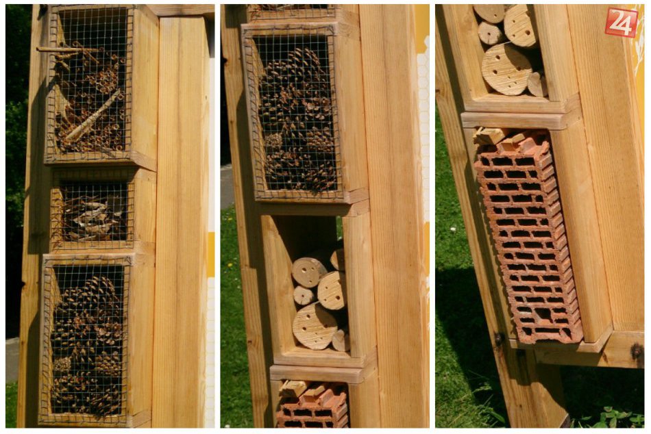 Mestské včely a hmyzí hotel